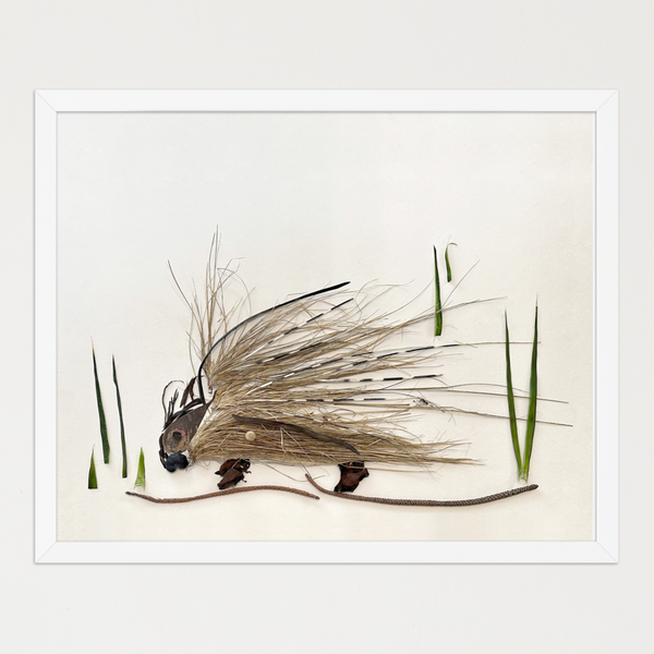 Woodland Porcupine - Rustic Nature Wall Art Print