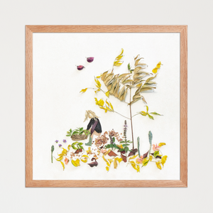 Tended garden plot composed of fresh petals, stems, and layered leaves at its calmest moment. Botanical wall art by FloraFusion.