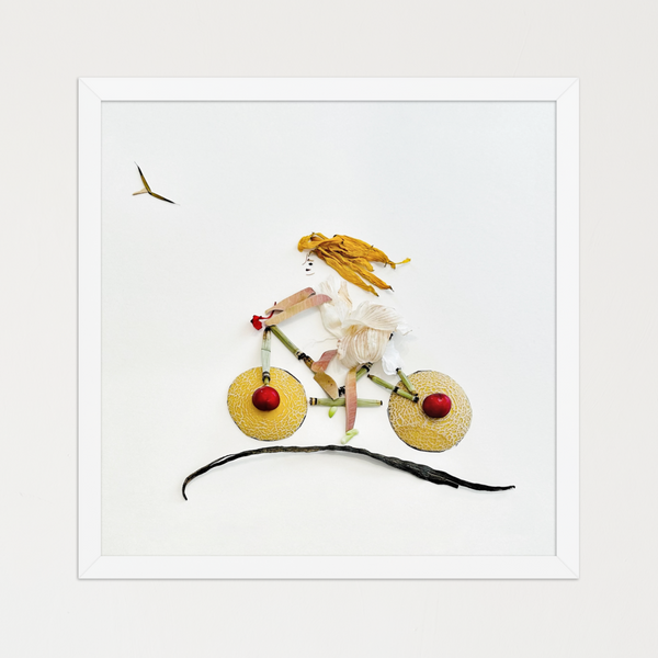Bicycle built from melon-slice wheels, slender stems, and soft petals on a clean background. Botanical wall art by FloraFusion.