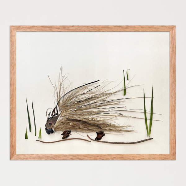 Porcupine in profile with grass-fiber quills and a bark and seed pod body on white. Botanical wall art print by FloraFusion.