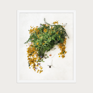 Golden Leaf botanical wall art print in a white frame, framed front view