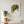 Golden Leaf botanical wall art print in a white frame, shown in a calm neutral room