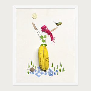 Banana Bloom botanical floral art print in a white frame on a warm cream background. FloraFusion.