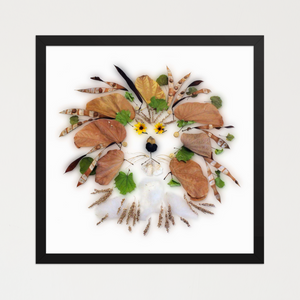 Lion with a steady gaze and flowing mane shaped from layered leaves, seed pods, and grasses. Botanical wall art by FloraFusion.