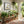Garden Tender - Peaceful Floral Garden Wall Art Print