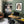 Earthbound Lady - Natural Seed Pod Portrait Wall Art Print