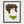 Feminine face made of acorns, pinecones, husks, and pine needles falling like hair on white. Botanical wall art by FloraFusion.