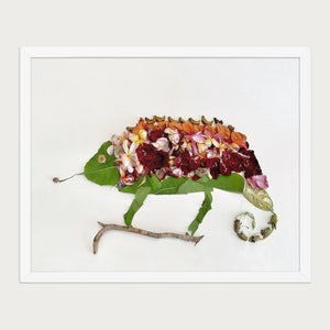 Chameleon in Bloom nature inspired wildlife wall art in a white frame on a warm cream background