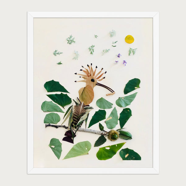 Crested Hoopoe botanical bird wall art print by FloraFusion in a white frame, front view