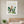 Crested Hoopoe botanical bird wall art print in a white frame hanging in a nursery