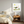 Grounded in Light - Botanical Wellness Wall Art Print