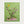 First Blossoms botanical spring tree wall art print by FloraFusion in a white frame, front view