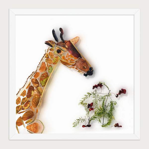 Gentle Giraffe botanical animal print framed - front view