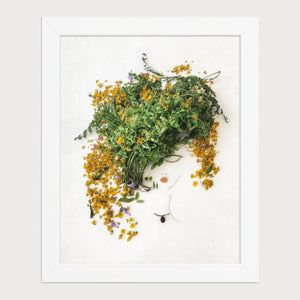 Golden Leaf botanical wall art print in a white frame, framed front view