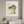 Hanging in Nature in a white frame above a linen sofa in a calm living room