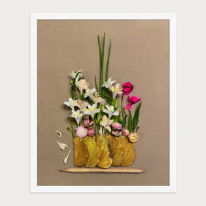 Lily Row botanical lily still life wall art print by FloraFusion in a white frame, front view