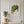 Golden Leaf botanical wall art print in a room (video)