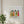 Garden Sisters botanical wall art print in a room (video)