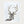 Still Forest Deer nature-inspired animal wall art in a white frame, front view