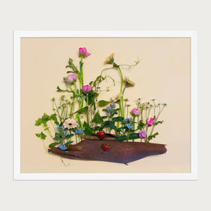 Strawberry Patch wildflower landscape wall art print by FloraFusion in a white frame, front view
