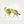 Wild Bloom Fox floral wildlife wall art in a white frame, front view
