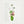 Wild Stem Vessel botanical still life wall art in a white frame, front view