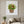Woodland Flower Basket botanical still life wall art print in a white frame hanging in a living room