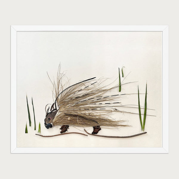 Woodland Porcupine rustic nature wall art in a white frame, front view